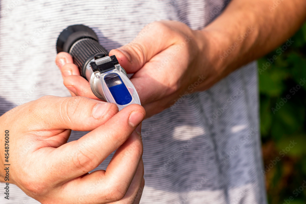 Fototapeta premium the grower holds a refractometer in his hands to determine the amount of sugar in grape juice