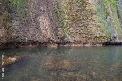 Wild pond water with mossy rocks