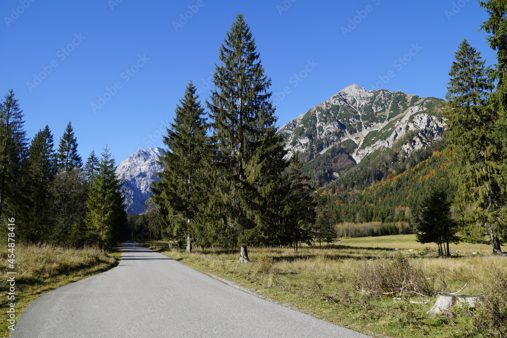 a road through a beautiful autumnal alpine landscape with pine trees in Gramai Alm, Austria	