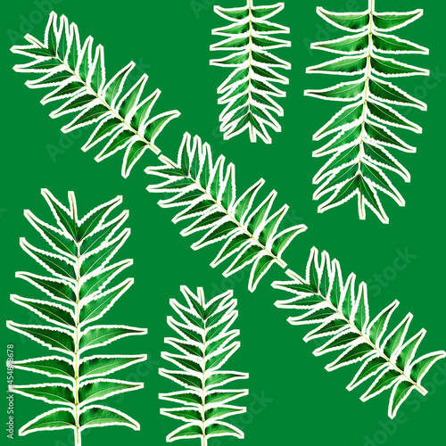 A seamless pattern with branches of Azadirachta indica  leavesa