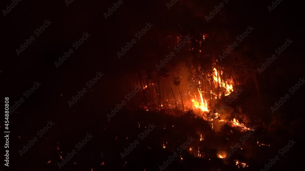 Pisa, Italy. Forest fire at night. Destroyed flora and fauna. Global warming