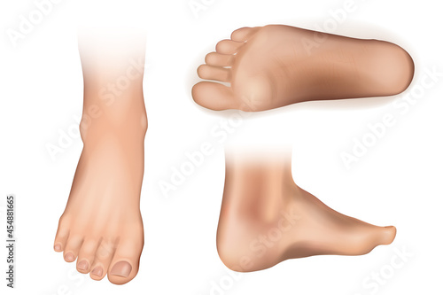 Collection of bare human sole arranged in different poses isolated on white background. Front, side, back view. Vector realistic illustration.
 photo