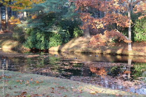 Fototapeta Naklejka Na Ścianę i Meble -  Park and Pond