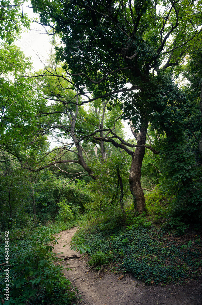 Naturbelassener Welterbesteig Naturbelassener Welterbesteig