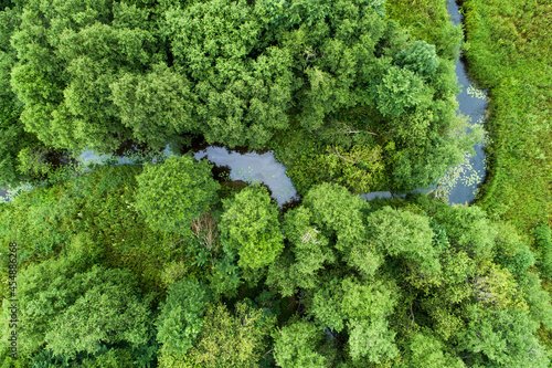 An aerial view of a small river meandering in the middle of green springtime nature. 