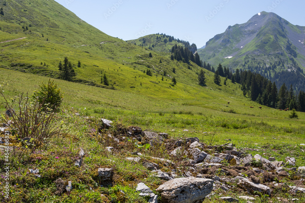 Alpage en montagne dans les alpes