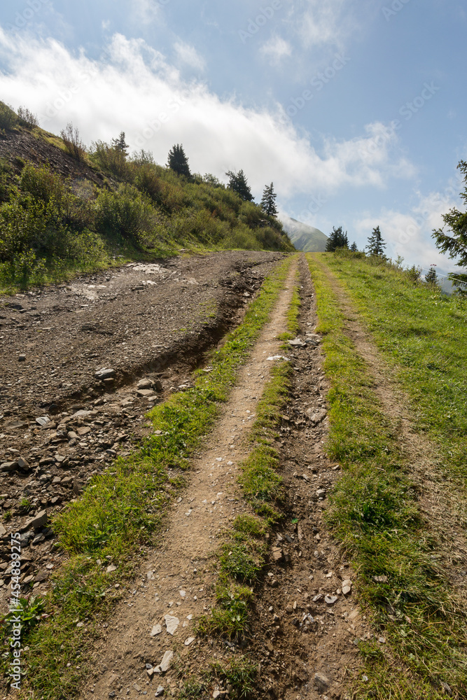 Fototapeta premium Chemin de randonnée