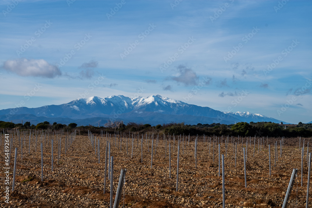 Le Canigou Pyrenees mountain
Le Canigou Pyrenees mountain