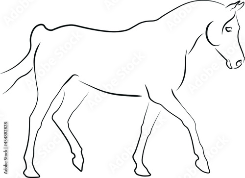 horse vector illustration black ink outline silhouette