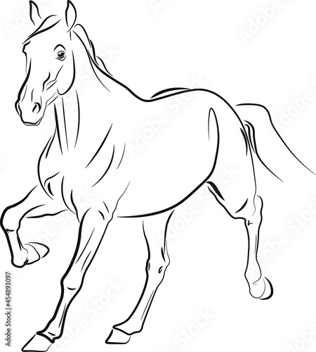 horse vector illustration black ink outline silhouette