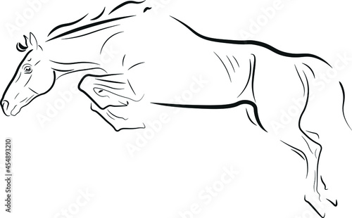 horse vector illustration black ink outline silhouette