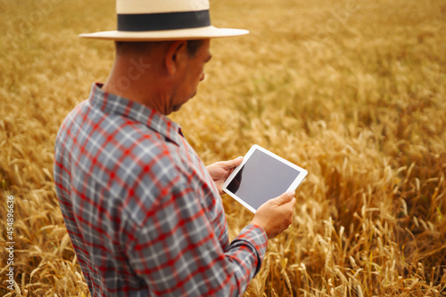 Smart farming concept. Farmer uses a specialized app on a digital tablet for checking wheat field progress. Agriculture concept. © maxbelchenko