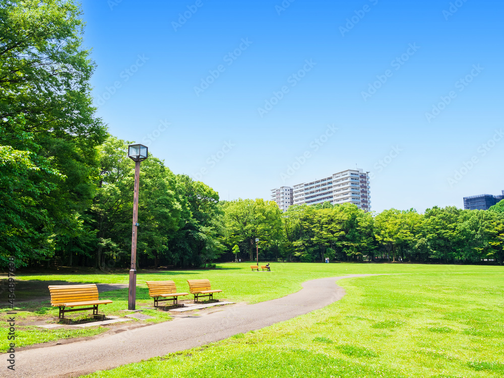 Naklejka premium 青空と緑の公園