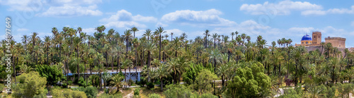 panoramic view of the Palmeral of Elche, the castle and Santa María basilica. located in the Valencian Community, Alicante, Elche, Spain