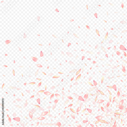 Pink Lotus Vector Transparent Background. Rosa