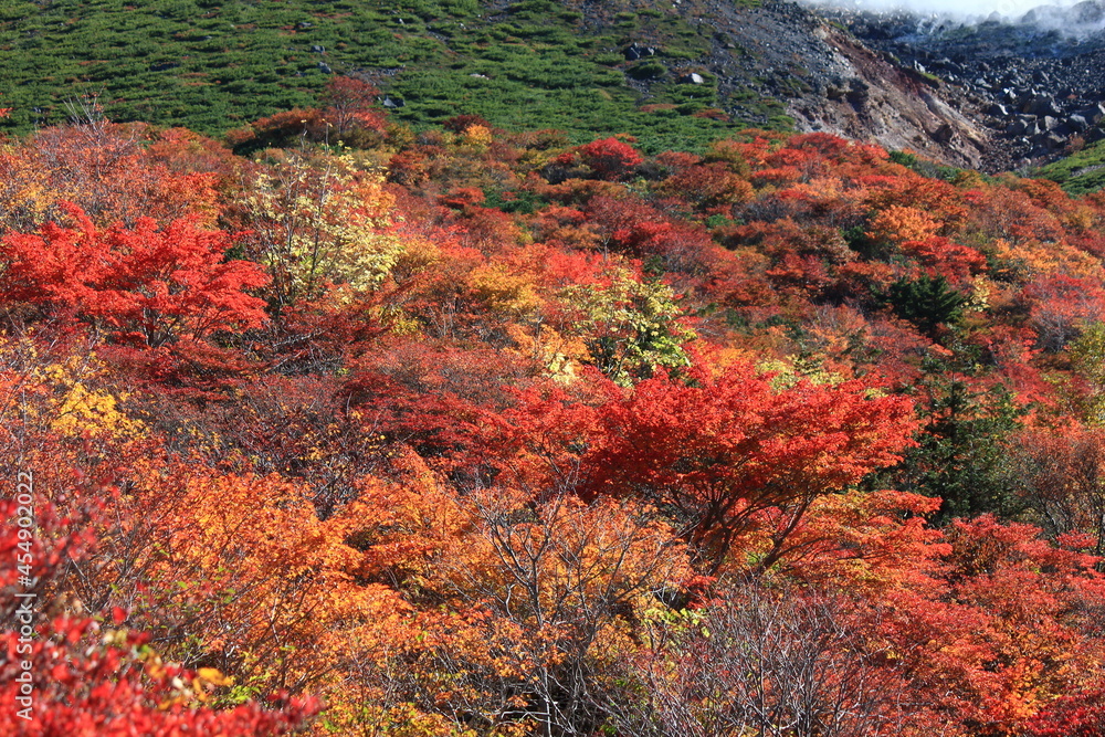 紅葉の茶臼岳（那須岳）姥ヶ平 。