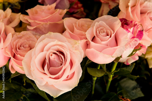 Rosas