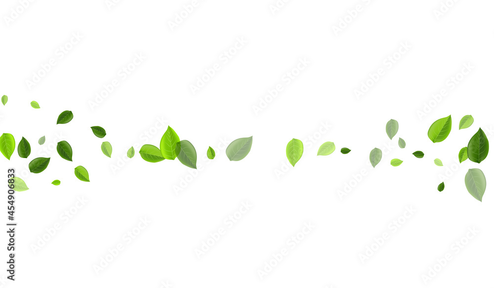Swamp Foliage Abstract Vector Background. Fly Swamp Foliage Abstract Vector Background. Fly