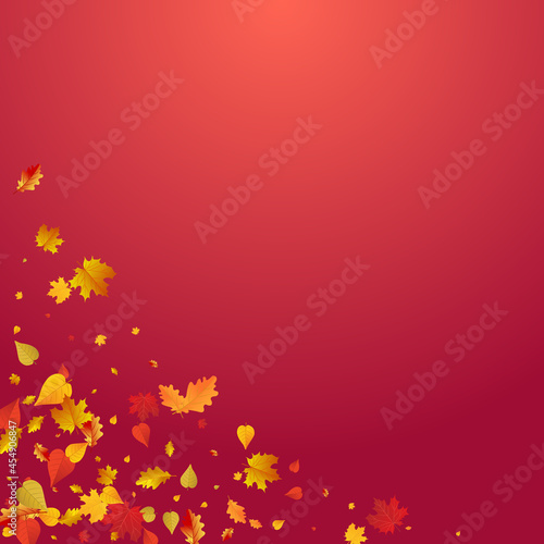 Brown Floral Vector Red Background. Decor Leaves