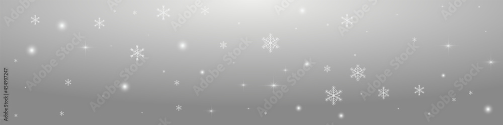 Silver Flake Vector Panoramic Transparent Silver Flake Vector Panoramic Transparent