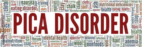 Pica disorder vector illustration word cloud isolated on a white background.