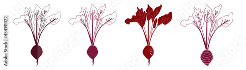 Beet collection isolated vector illustration. Fresh healthy food. Design element.