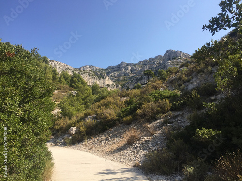 View of typical Calanques cliff with sparse vegetation anchored to it seen from the footpath leading from Luminy to the Calanque de Sugiton in Marseille. Mont Puget can be seen in the background. 