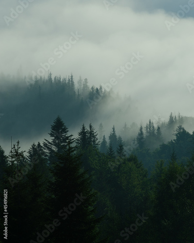 fog in the mountains © Yurii Andreichyn