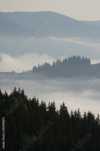 Fototapeta Naklejka Na Ścianę i Meble -  fog on the lake
