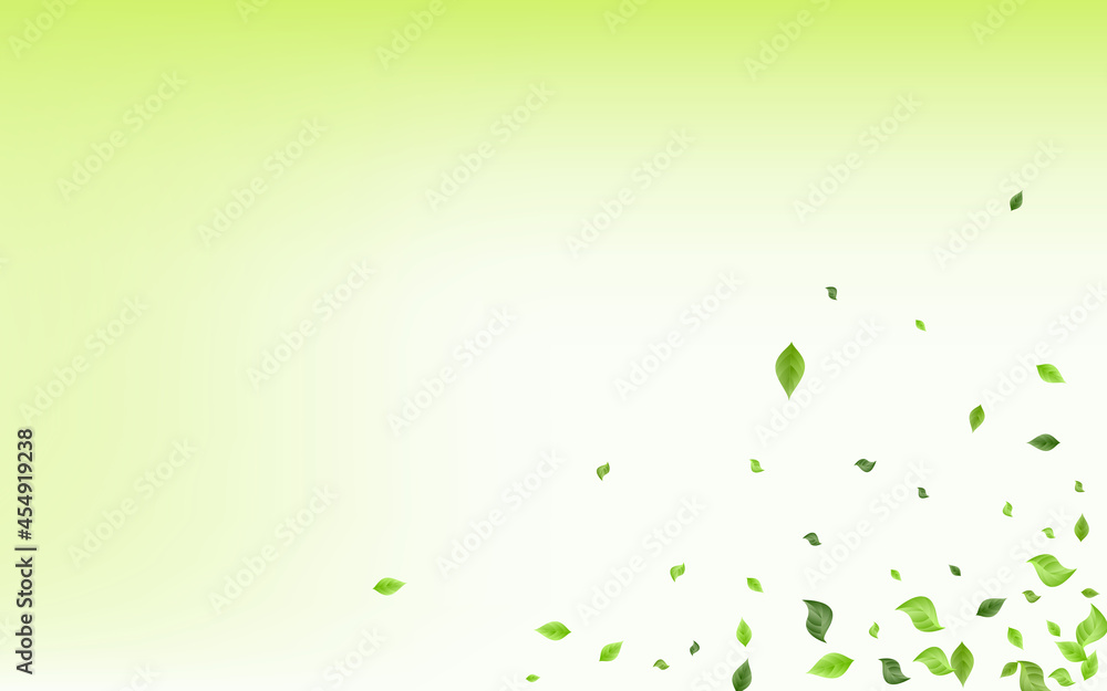 Swamp Leaves Forest Vector Green Background Swamp Leaves Forest Vector Green Background