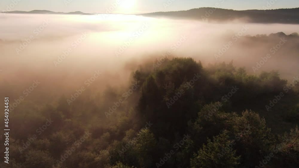 flight over the misty forest on morning with fog and sun rays on treetops at mountain sunrise. Aerial shot on fpv drone over clouds nature landscape with mountain hilly terrain. Cinematic view. flight over the misty forest on morning with fog and sun rays on treetops at mountain sunrise. Aerial shot on fpv drone over clouds nature landscape with mountain hilly terrain. Cinematic view.
