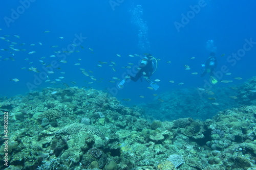 奄美大島 珊瑚礁と魚の群れとダイバー 2108 7836