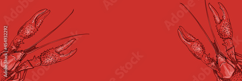 Red boiled crayfish vector drawing long web banner, Hand drawn seafood illustration with space for text