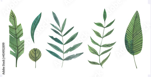 Green watercolor hand drawn leaves, pine needles decorative floral botany isolated on white background. Design elements for borders, stickers, invitations.