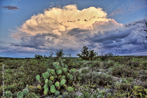 Canvastavla West Texas Thunderhead