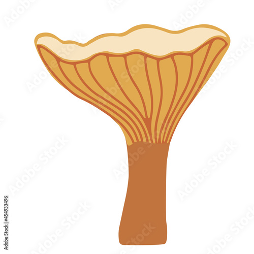 Vector illustration of Chanterelles mushrooms. Autumn symbol. Isolated on a white background.