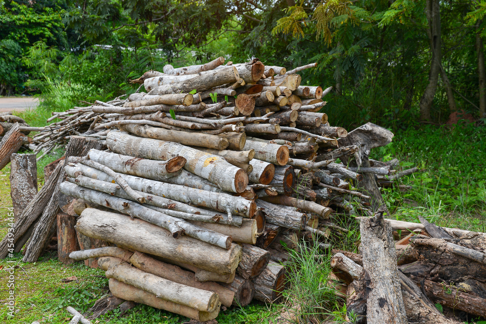 Firewood, Woodpile of freshly chopped pine logs in the forest stacked on top of each other, Selective focus. Firewood, Woodpile of freshly chopped pine logs in the forest stacked on top of each other, Selective focus.