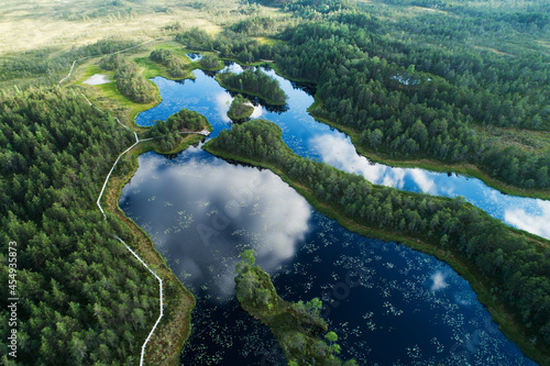 An aerial of a summery bog lakes with cloud reflection on a calm evening in Mukri bog, Estonia. 