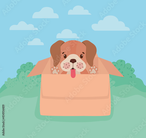 doggy with singboard