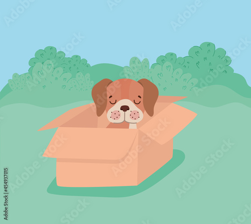 dog with singboard