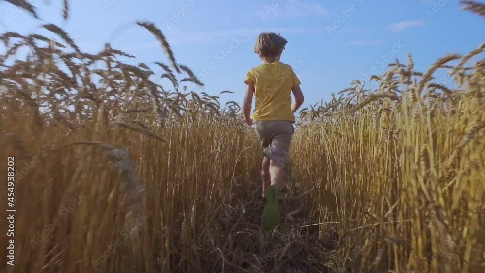 The boy runs among the ripe ears of wheat. Slow motion. Wheat stalks sway behind the running youth. The golden agricultural field is illuminated by the contour rays of the sun. The boy runs among the ripe ears of wheat. Slow motion. Wheat stalks sway behind the running youth. The golden agricultural field is illuminated by the contour rays of the sun.