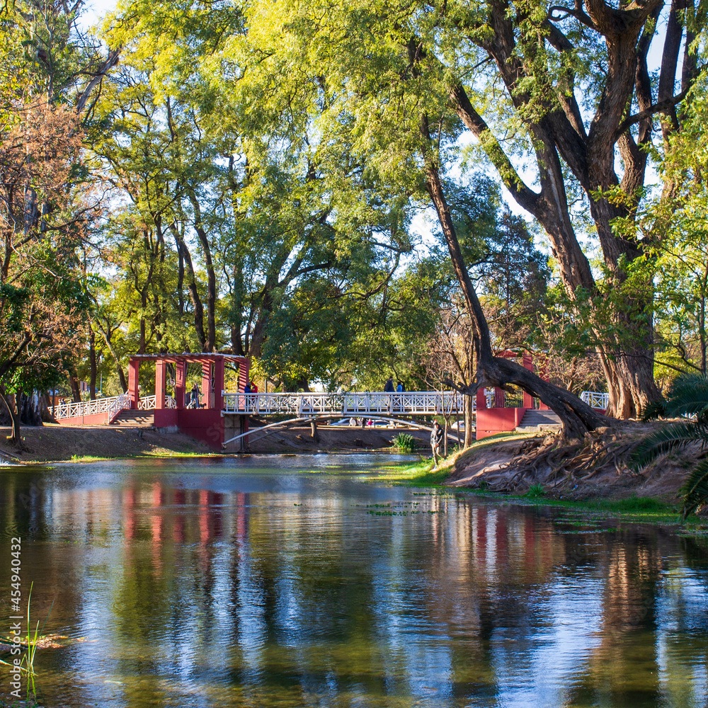 Fototapeta premium lake in the park