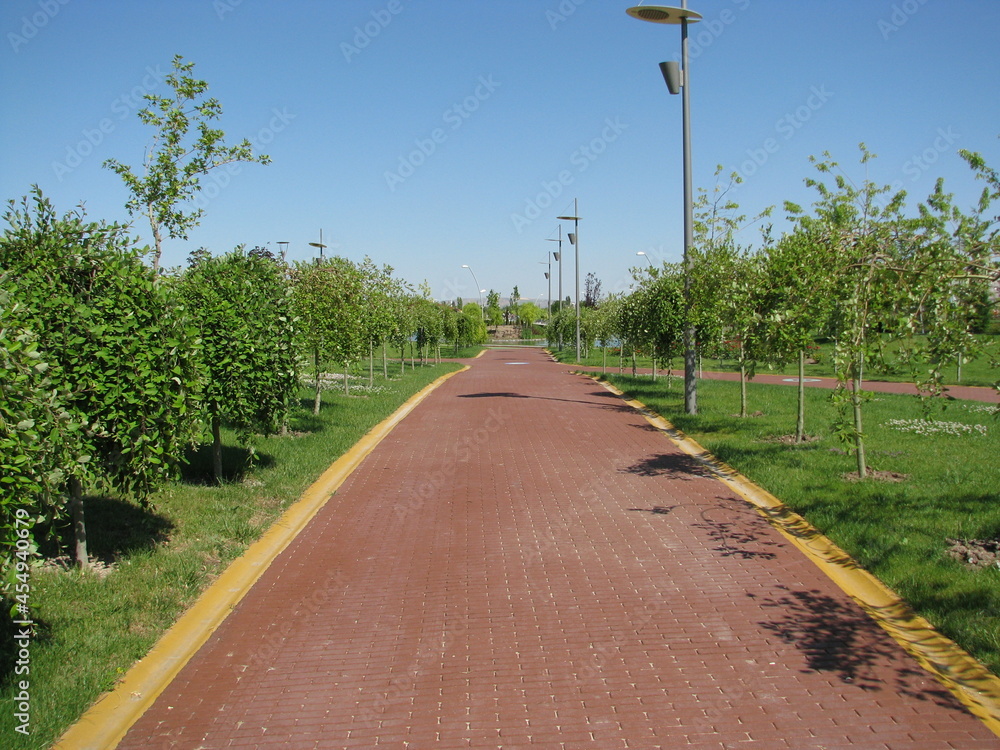 Walking path in the park