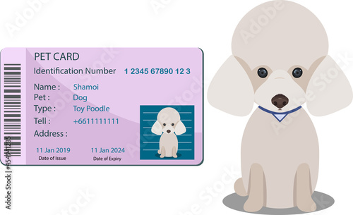 Pet identify card design Vector illustration template