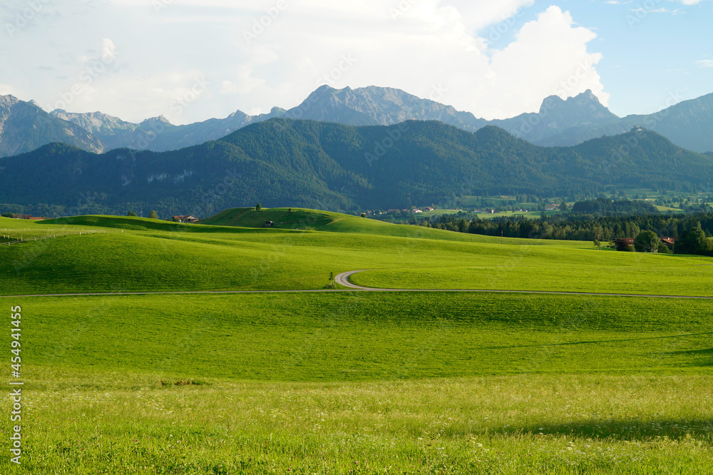 a scenic Bavarian countryside surrounded by succulent green meadows in Allgau or Allgaeu region in Bavaria with the Alps in the background on a cloudy summer day (Germany)