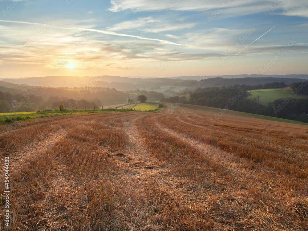 Rural landscape in the German city of Velbert at sunrise in the Bergisches land region. Mown field in the foreground and green woods in the background.