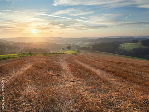 Rural landscape in the German city of Velbert at sunrise in the Bergisches land region. Mown field in the foreground and green woods in the background.