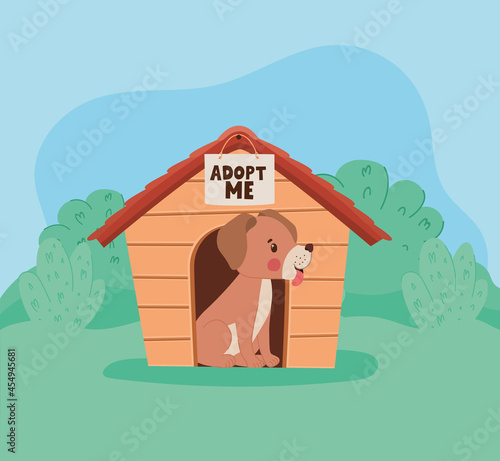 dog with doghouse