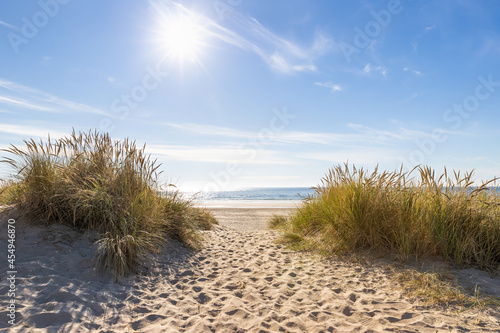 path to the beach through sand dunes