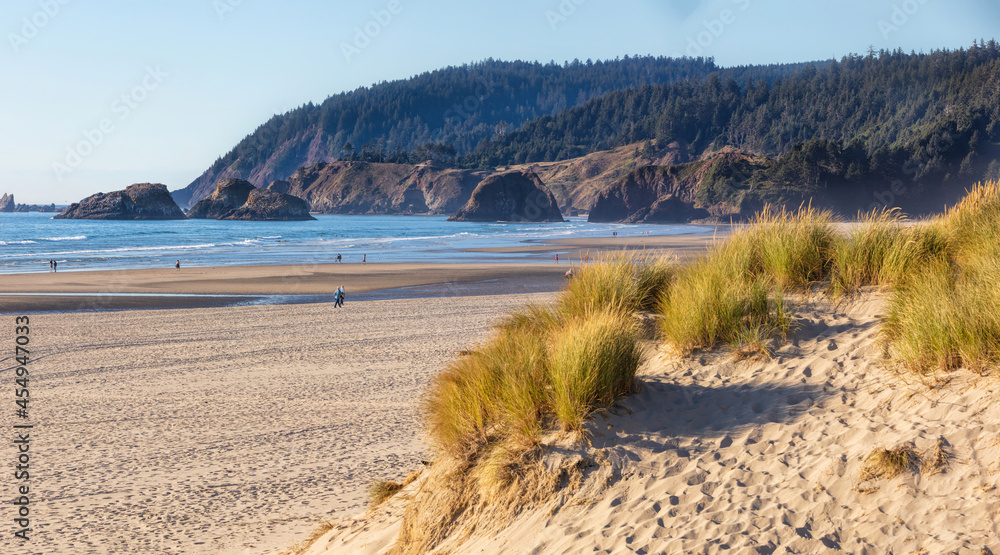 Beach view with the ocean, sand dunes, tall grasses and mountains.